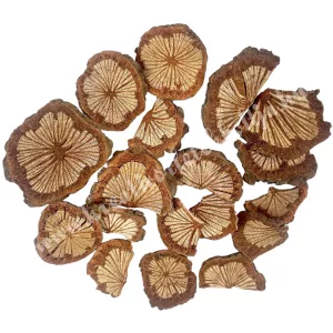 Szárazdekoráció, tigrisfa szelet, 30 g/csomag