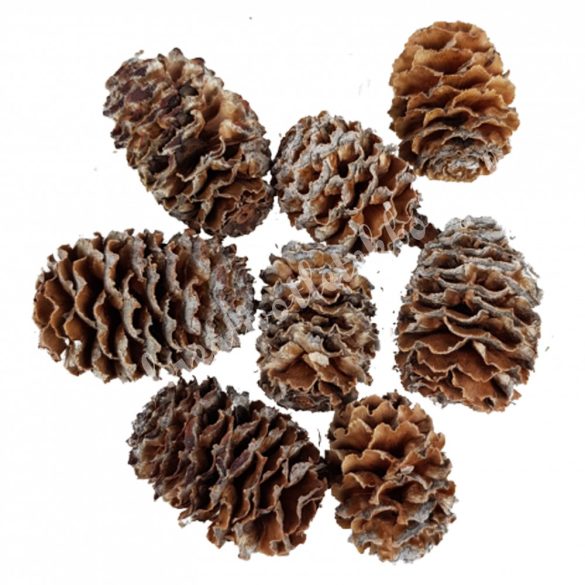Szárazdekoráció, meridianum, 30 g/csomag