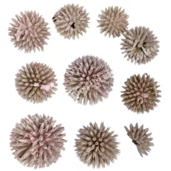 Szárazdekoráció, echynops fej, rózsaszín, 20 gr/csomag