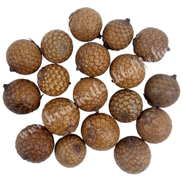 Szárazdekoráció, pálma mag, natúr, 30 g/csomag
