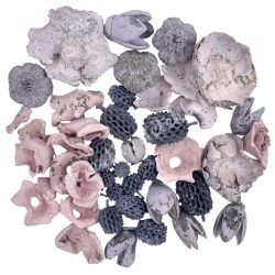 Szárazdekoráció, lila-rózsaszín, 75 gr/csomag