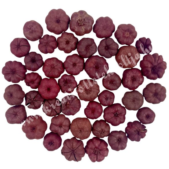 Szárazdekoráció, mini tök, bordó, 12 gr/csomag