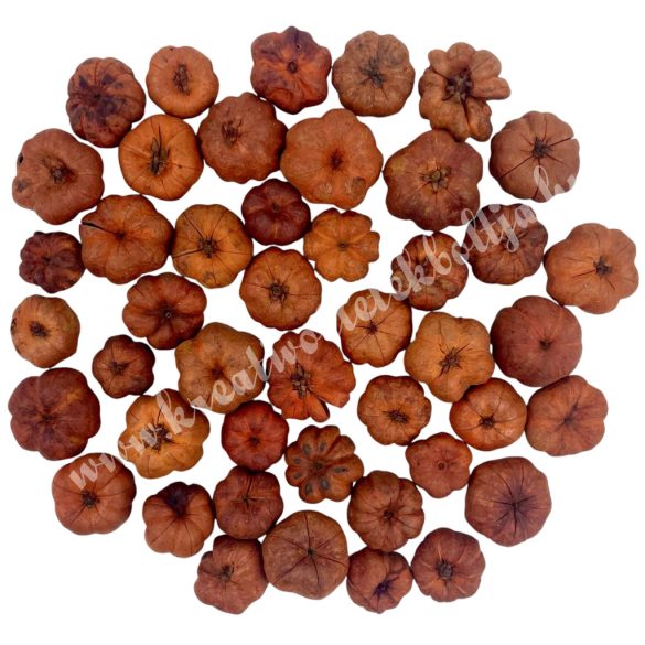 Szárazdekoráció, mini tök, narancssárga, 12 gr/csomag