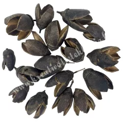 Szárazdekoráció, bakuli, barna, 30 gr/csomag