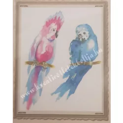 Textiltranszfer, papagáj, 25x35 cm