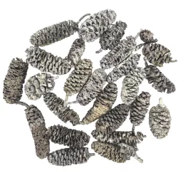 Szárazdekoráció, fehér égertermés, 20 g/csomag