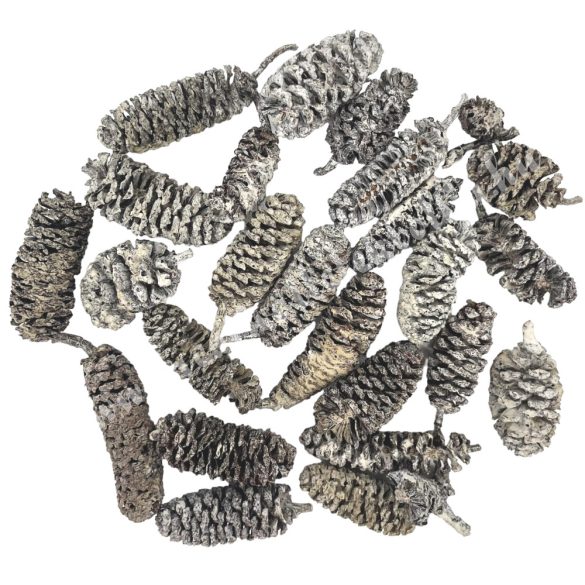 Szárazdekoráció, fehér égertermés, 20 g/csomag