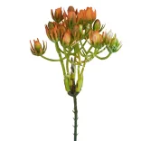 Betűzős selyemvirág csokor, 20 cm, 5 ág/csokor