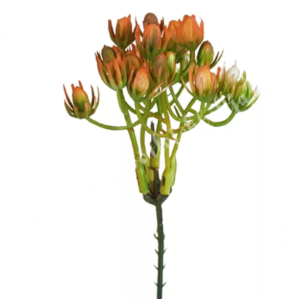 Betűzős selyemvirág csokor, 20 cm, 5 ág/csokor