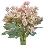 Bouvardia csokor, rózsaszín, 24 cm