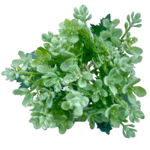Bouvardia csokor, zöld, 24 cm