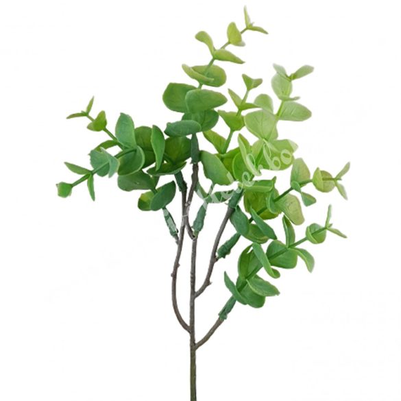 Eukaliptusz ág, hamvas zöld, 40 cm