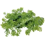Zöld csokor bogyóval, 38 cm