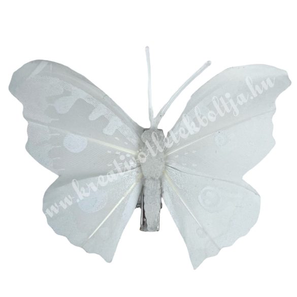Csipeszes pillangó, fehér, 8x6 cm