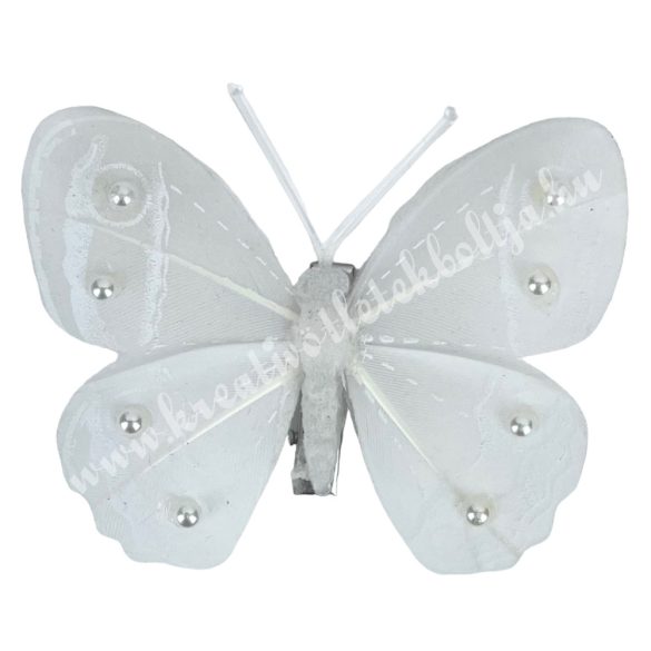 Csipeszes pillangó, fehér, 8x6 cm