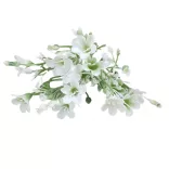 Betűzős harangvirág csokor, fehér, 14 cm