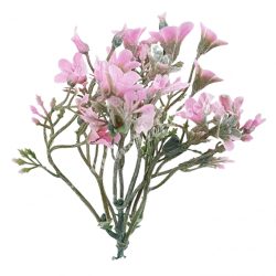 Betűzős harangvirág csokor, rózsaszín, 14 cm