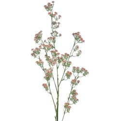 Rezgő, barack, 88 cm