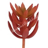 Pozsgás, bordó, 4,5x8 cm