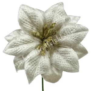 Betűzős mikulásvirág fej, pezsgő, 10 cm