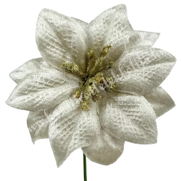 Betűzős mikulásvirág fej, pezsgő, 10 cm