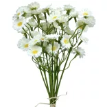 Százszorszép köteg, fehér, 26 cm